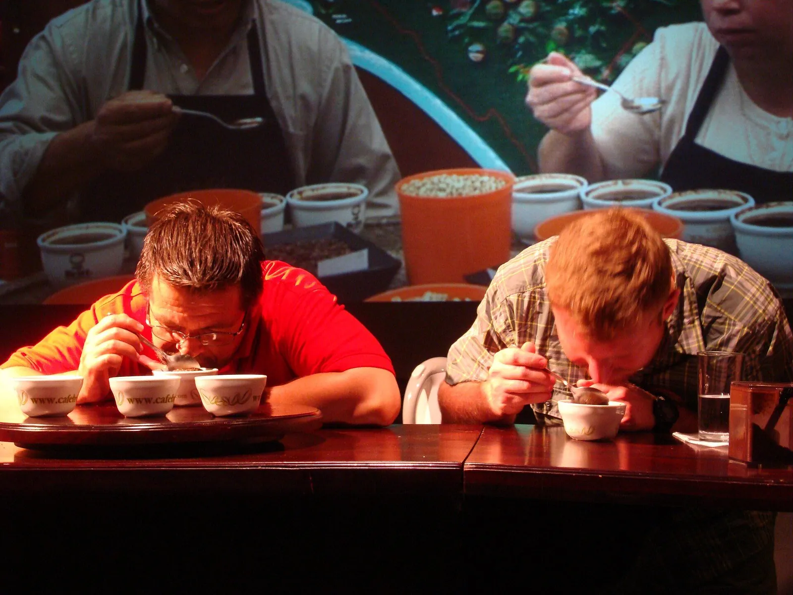 Tasters cup coffee at a cupping table