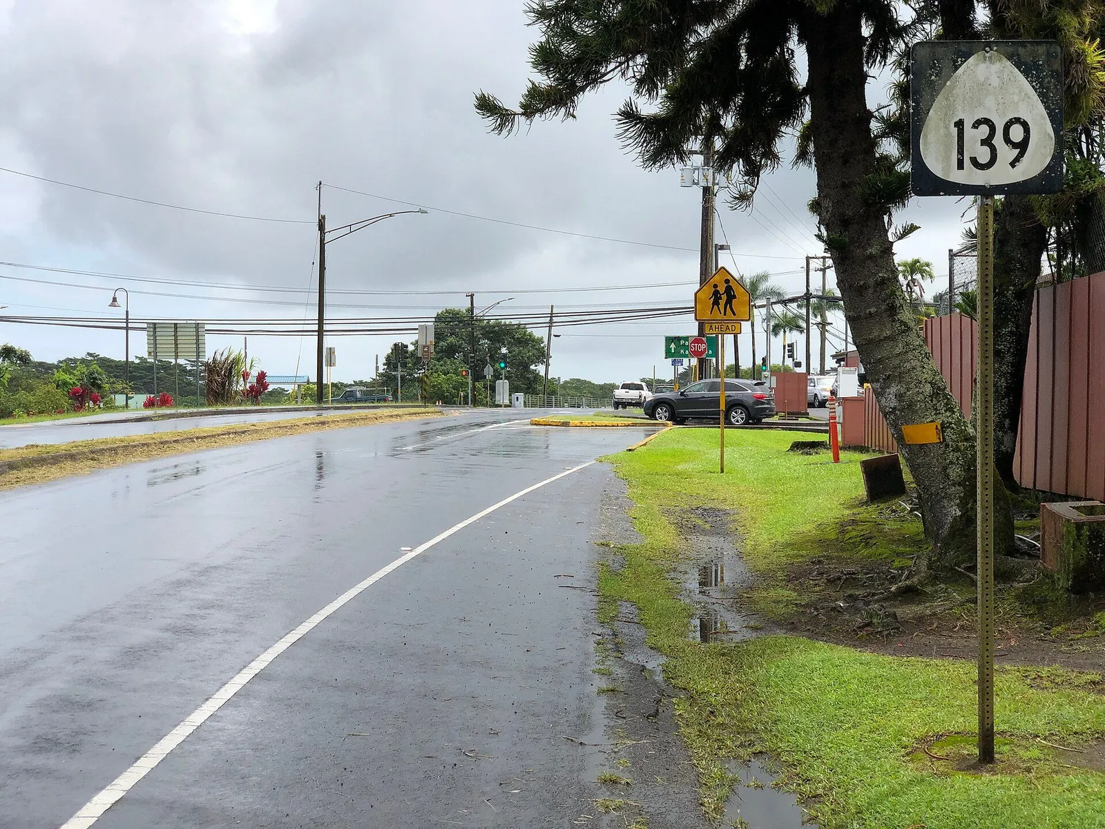 A wet highway in Puna after rain