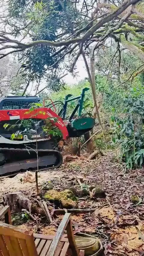 A red tracked excavator with a green mulcher clears undergrowth beneath trees near a wooden chair and coiled hose.