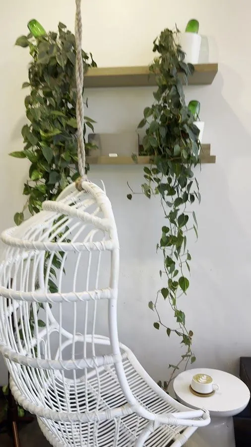 A rope-hung white woven chair hangs by trailing plants on wood shelves, near a cup of foam art.