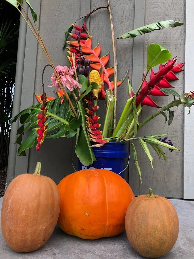 Three pumpkins sit in front of a blue bucket of tropical flowers against gray siding.