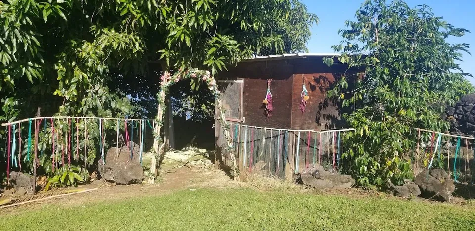 A dark wooden building under leafy trees, with a flower-covered arch, colorful hanging ribbons, and dark rocks on the grass.