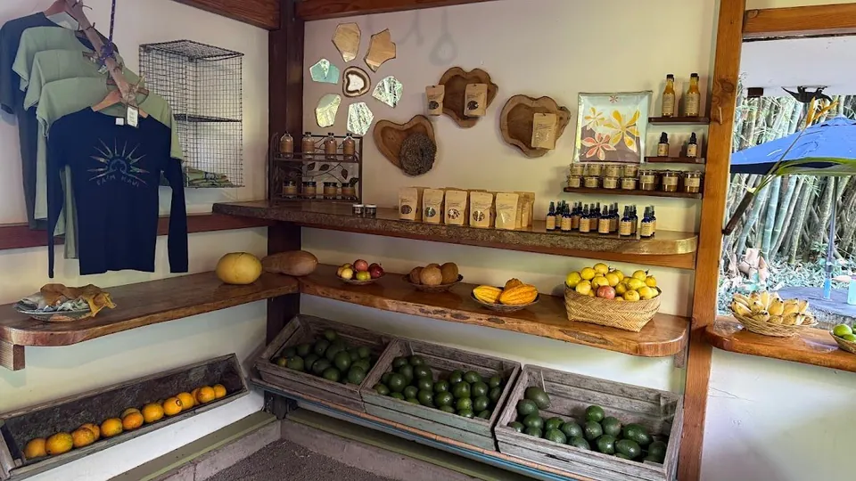 Wooden farm-stand interior with produce bins, packaged goods on shelves, and hanging shirts.