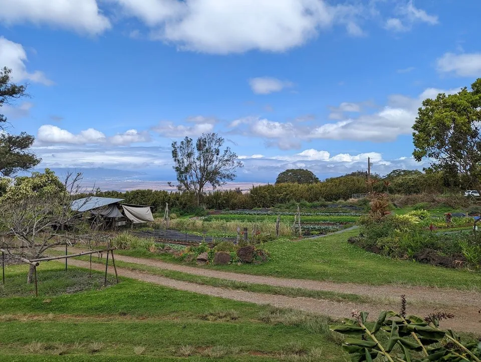 Rows of garden beds line a gravel path beside a metal-roofed shelter under a blue, cloudy sky.