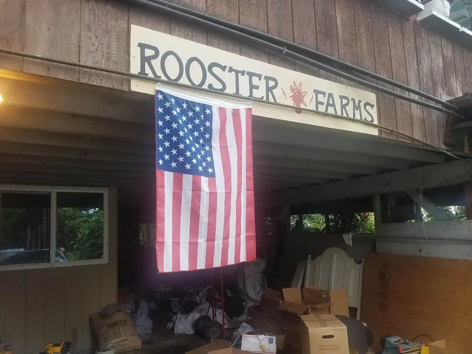 Wooden farm building exterior with a Rooster Farms sign and a hanging American flag above stored boxes and bags.