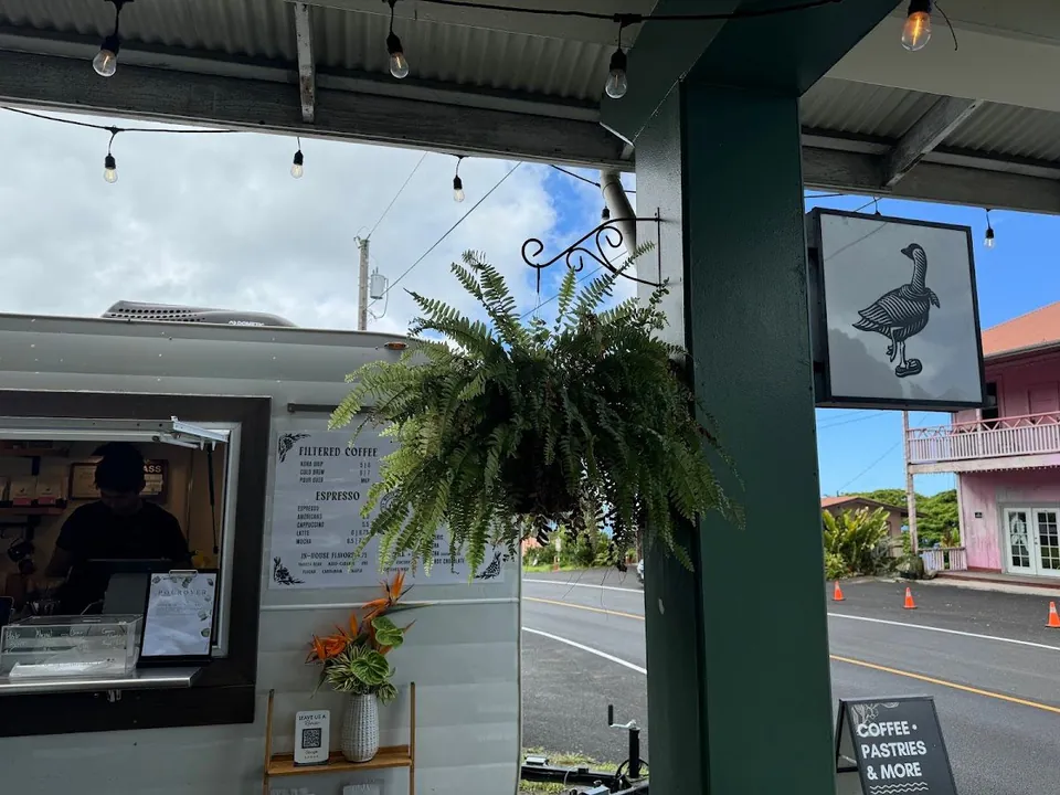 A person works inside a coffee trailer window under a porch with lights, a hanging fern, a goose sign, and a street board.