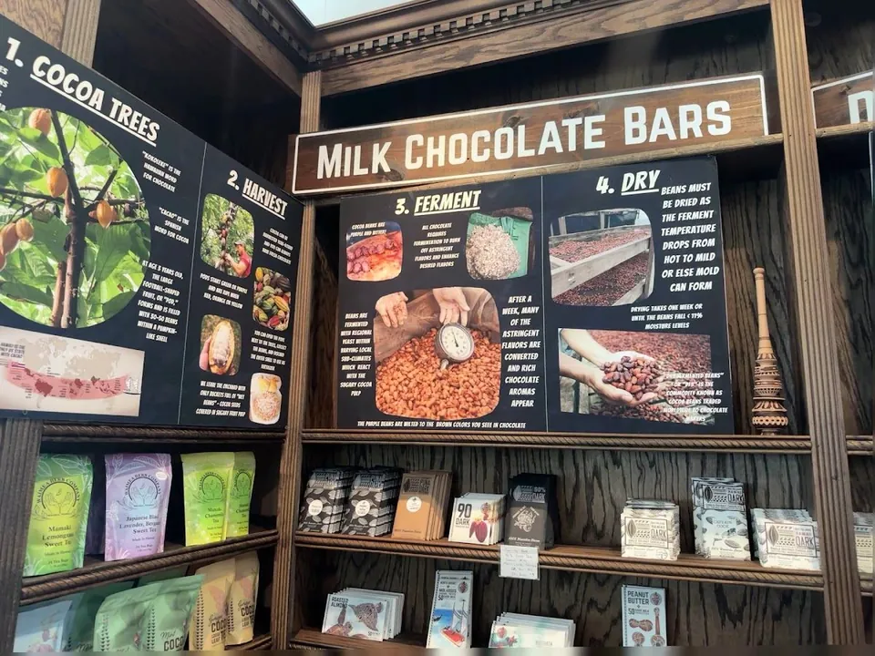 Shop shelves hold tea pouches and chocolate bars under cocoa signs that show hands working beans.