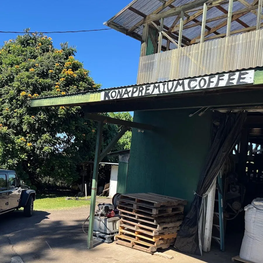 A green building with a KONA PREMIUM COFFEE sign, stacked wooden pallets, a white bulk bag, and a flowering tree.
