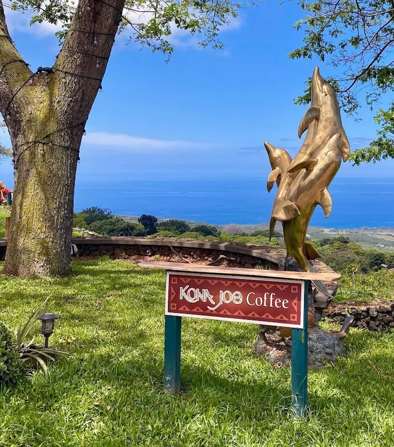A wooden sign reading KONA JOE Coffee stands on a grassy lawn beside a gold dolphin sculpture, with ocean behind.