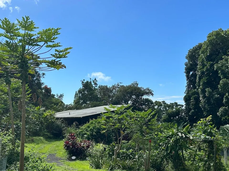A low metal-roof building sits among dense tropical trees and garden plants under a clear blue sky.