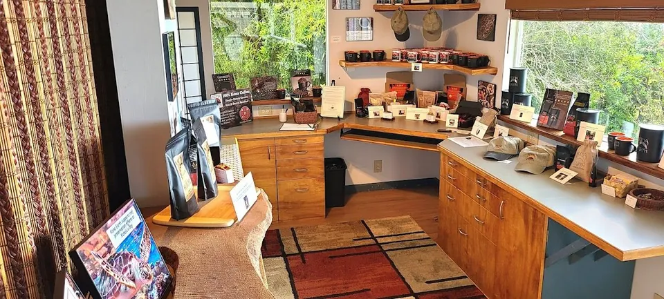 Wood retail counter with coffee bags, caps, and mugs on shelves, beside windows onto green trees.