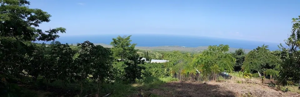 A tree-covered hillside looks out over the ocean under a clear blue sky.