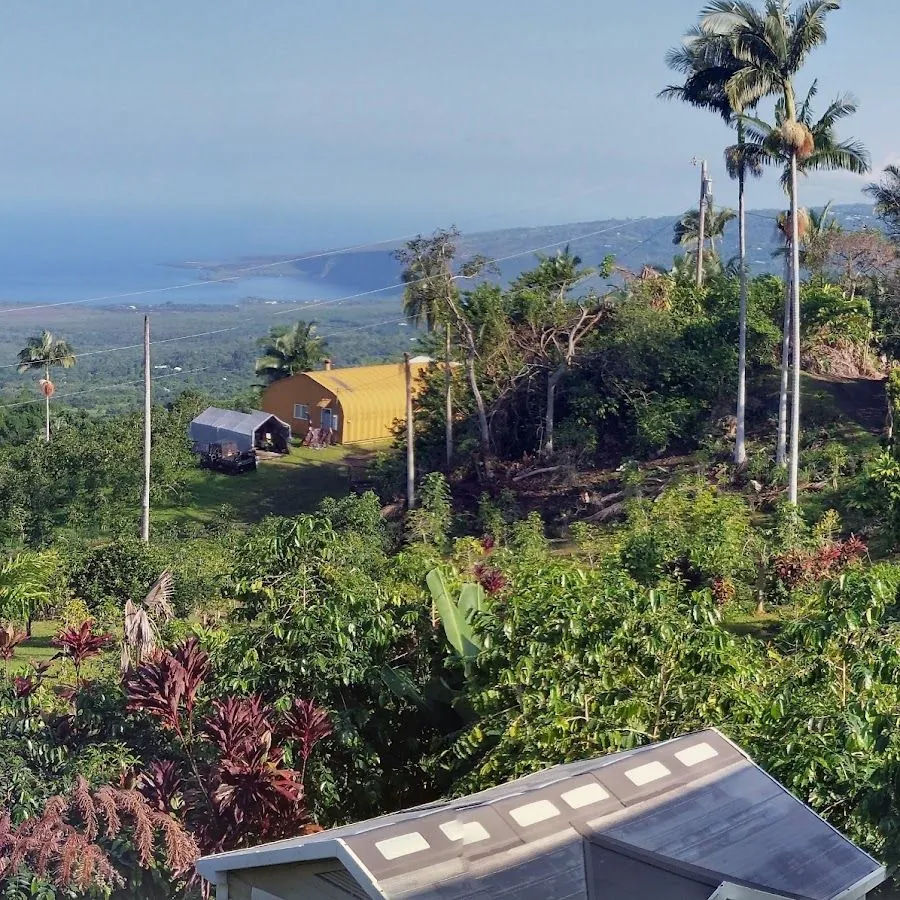 Tropical hillside with a yellow arched building, palm trees, and a distant ocean bay.