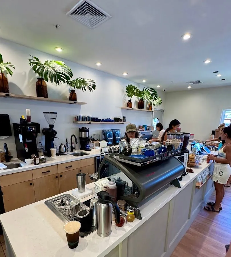 Coffee service counter with an espresso machine, grinders, plants on wall shelves, and people working and standing at the bar.