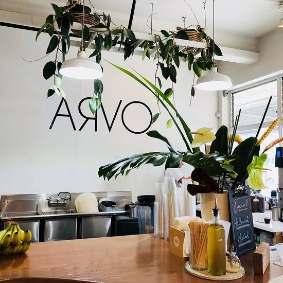 Cafe interior with ARVO on the wall, hanging plants, pendant lights, a wooden counter, and a worker behind the plants.