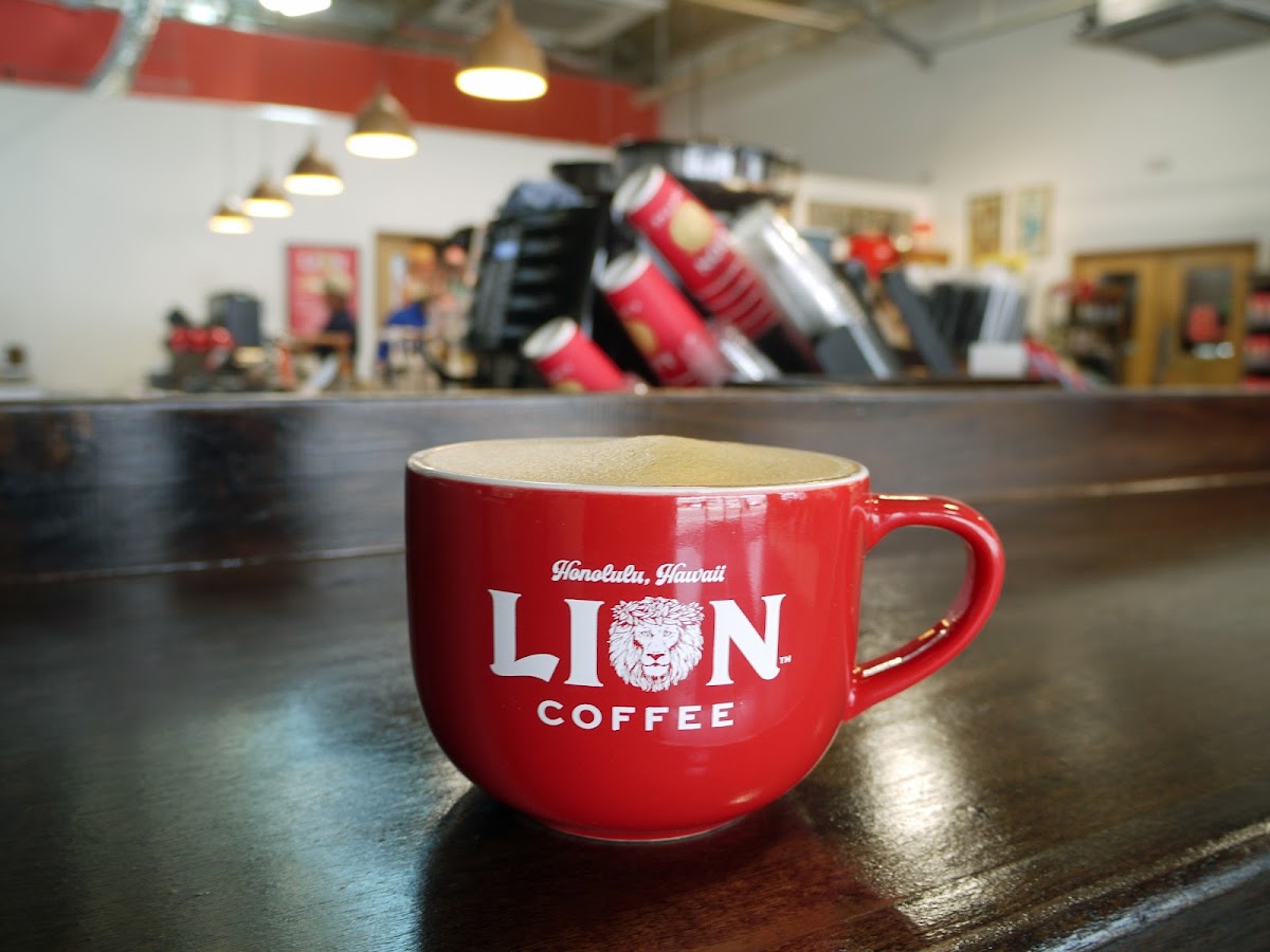 Lion Coffee mug at Lion Cafe