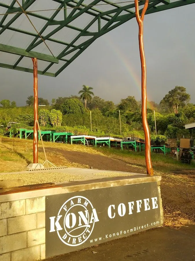 Coffee beans dry on a raised bed under a green shade roof at Kona Farm Direct, with a rainbow over the farm.