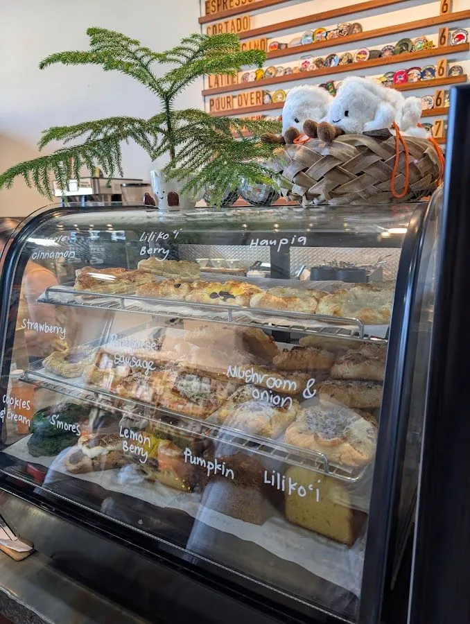 Curved glass pastry case with handwritten labels, a conifer, and coffee letter boards behind it.