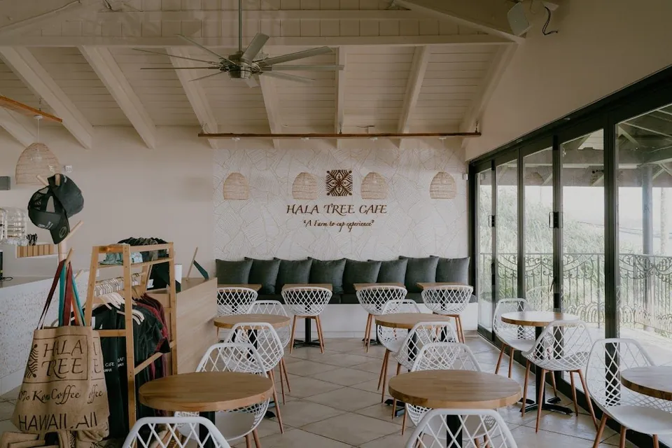 Hala Tree Cafe dining room with lattice chairs, wood tables, a cushioned bench, and glass doors.
