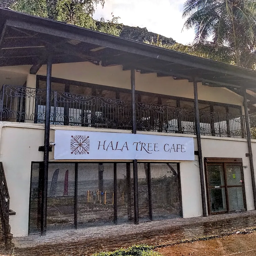 Hala Tree Cafe