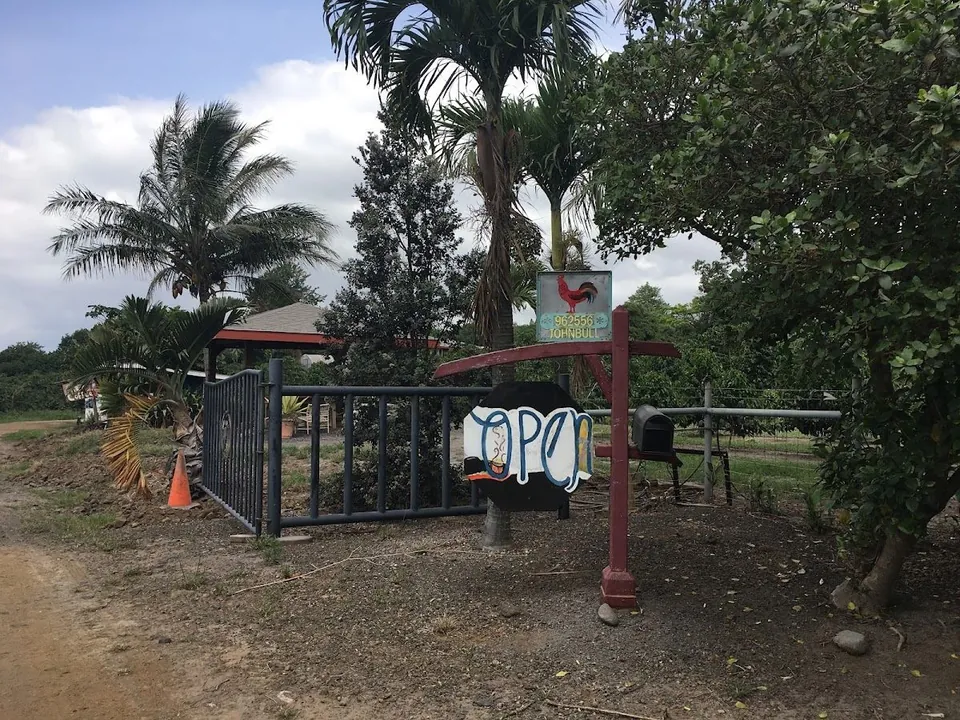 Farm entrance with an open metal gate, a painted OPEN sign, and a Johnbull rooster sign among palms.