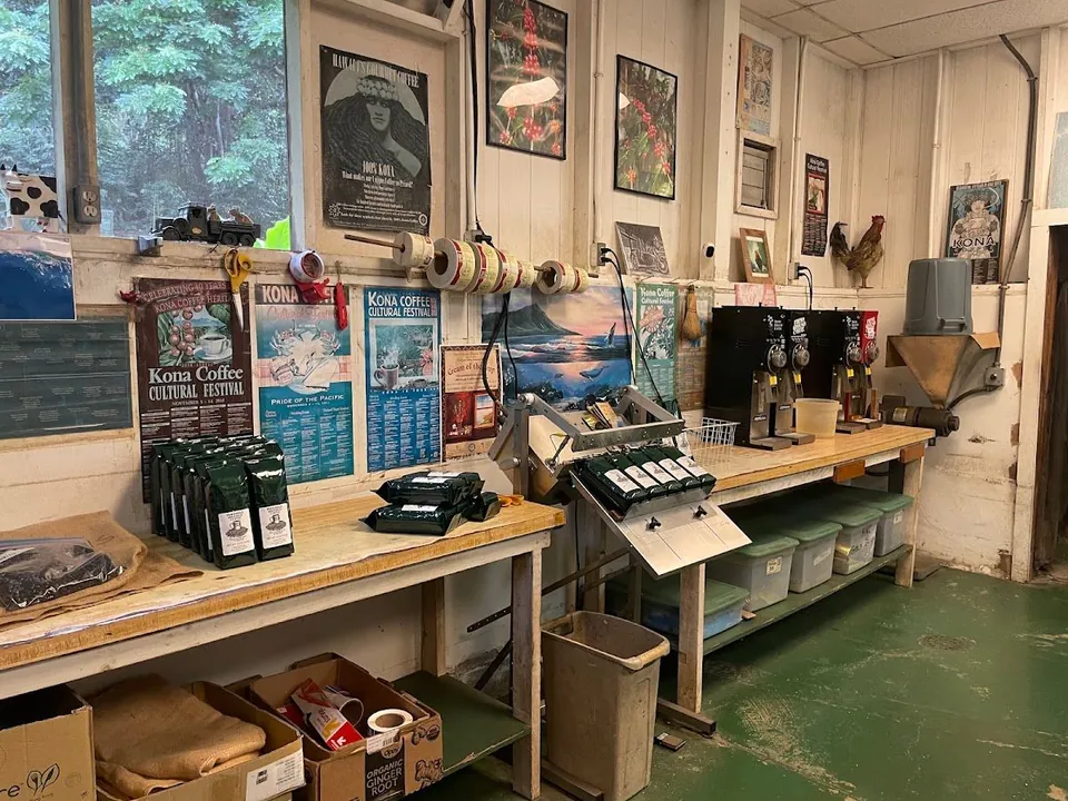 Workroom with green coffee bags on tables, grinders, label rolls, and Kona Coffee festival posters.