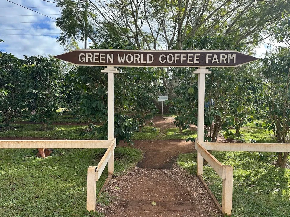 Wooden arrow sign reading GREEN WORLD COFFEE FARM marks a dirt path between white posts and trees.